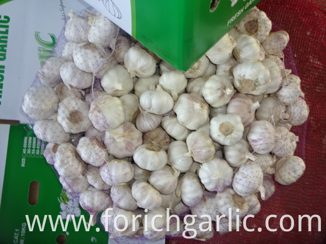 Jinxiang Fresh Normal White Garlic